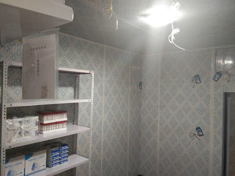 新标准GSP冷链验证服务